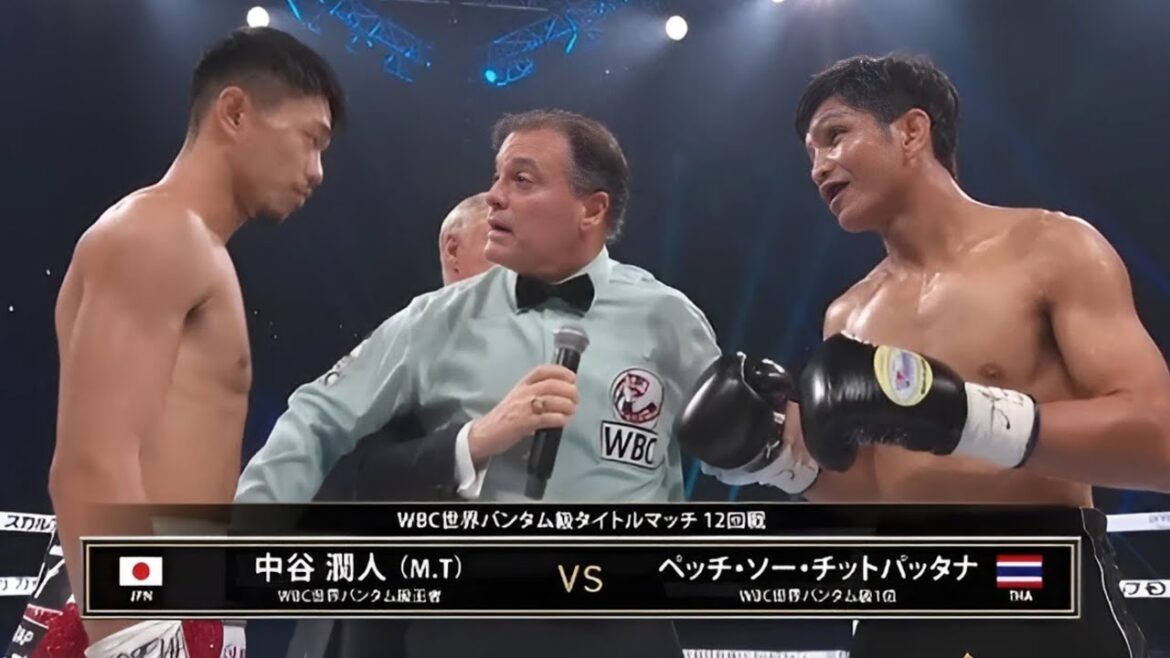 中谷潤人 vs. ペッチ・ソー・チットパッタナ,  KO 試合 ハイライト  Junto Nakatani vs. Tasana Salapat - Highlights