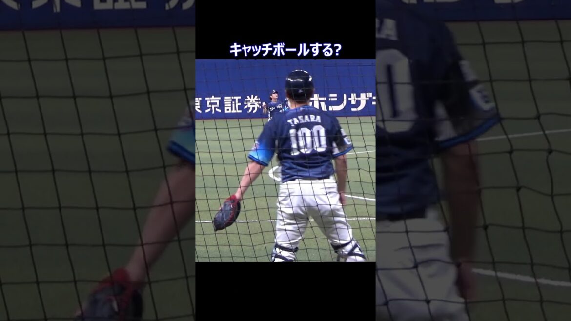 試合前の今井投手#shorts #今井達也 #埼玉西武ライオンズ #交流戦