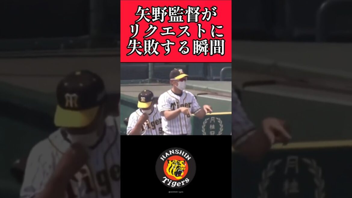 【阪神】矢野監督がまさかのリクエスト失敗する瞬間！ #阪神 #阪神タイガース #矢野燿大  #shorts