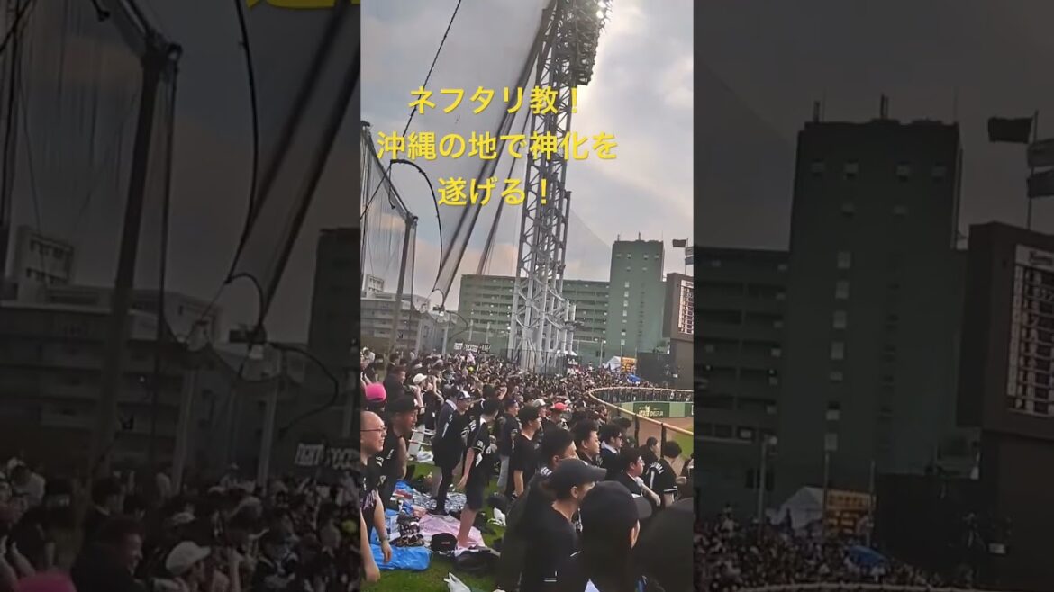 【ネフタリ教 魔曲更新】沖縄の地で神化を遂げる！ #応援歌 #ネフタリ教 #プロ野球 #千葉ロッテマリーンズ