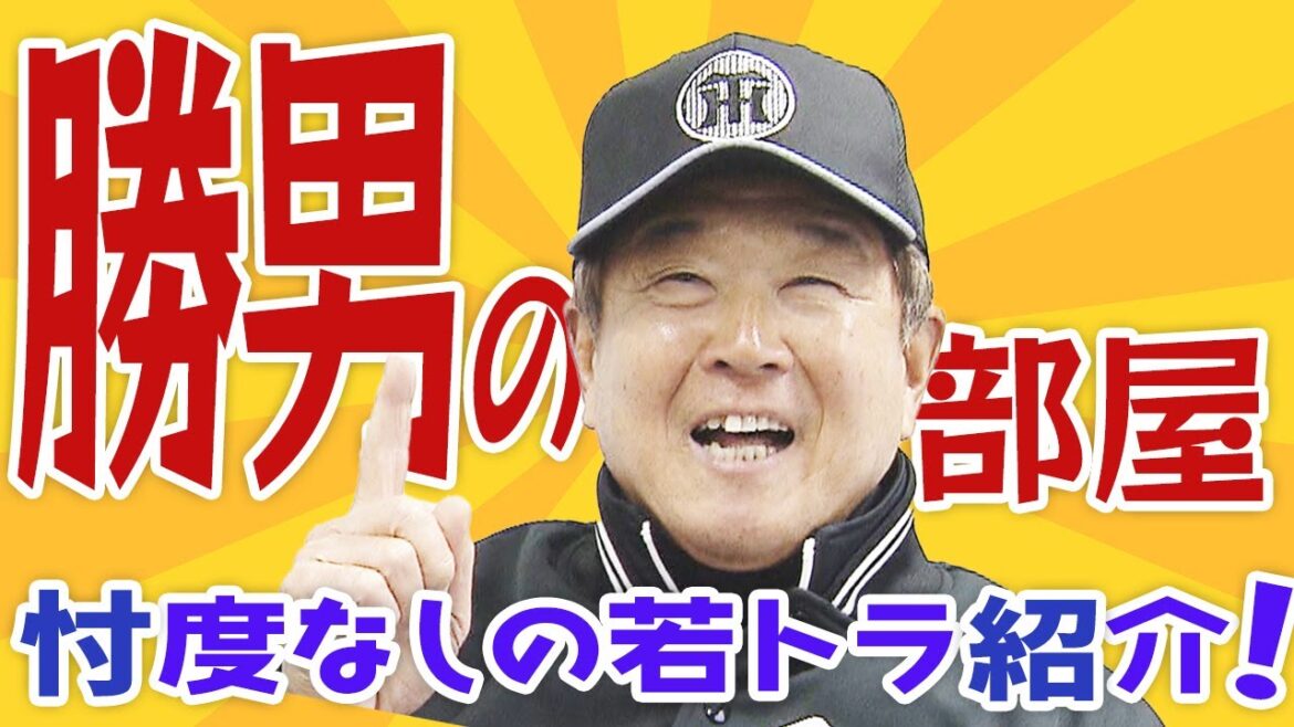 【勝男の部屋】カツオ節炸裂！期待の若虎をピックアップ