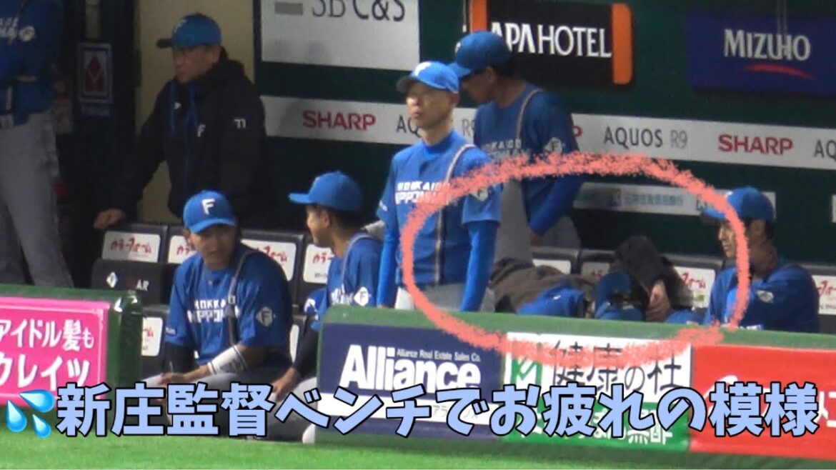 ホークス上沢直之を攻略ににんまり😎日本ハム新庄監督がベンチでご機嫌＆お疲れの模様💦2025.3.15⚾️ソフトバンク対日本ハム
