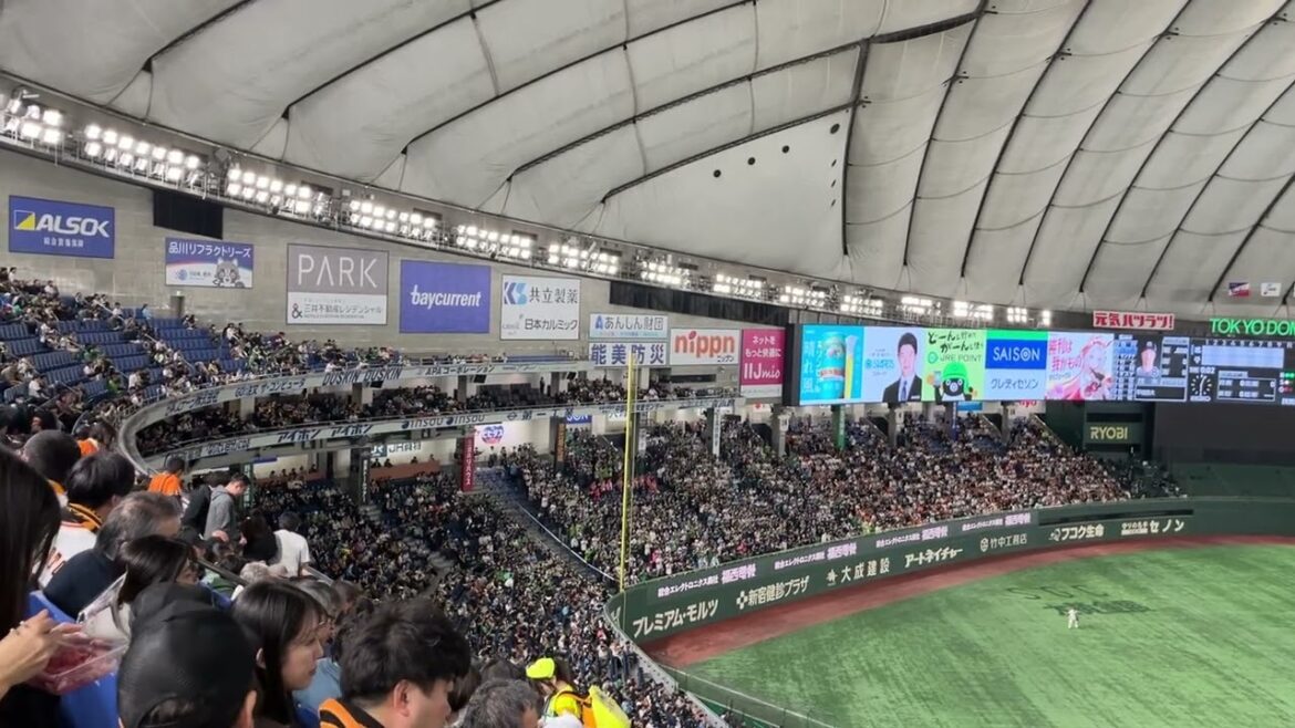 2025 ヤクルト 茂木栄五郎 応援歌