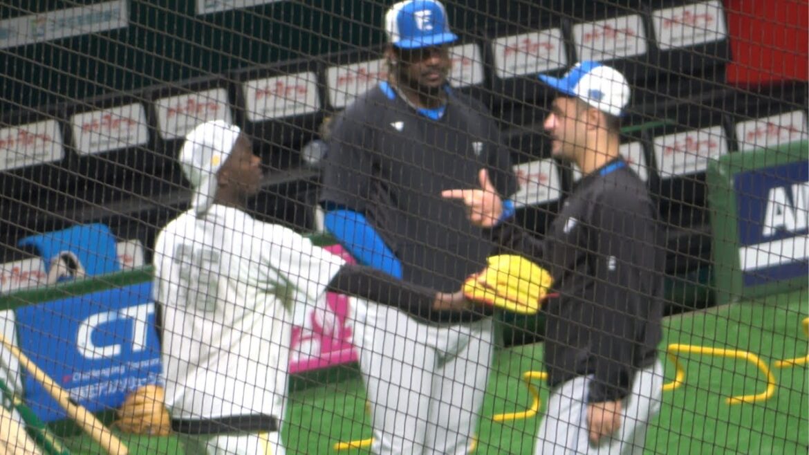 レイエス、モイネロ、マルティネスの絡みが面白すぎる！福岡ソフトバンクホークスvs北海道日本ハムファイターズ【プロ野球オープン戦2025】最高の助っ人外国人たち