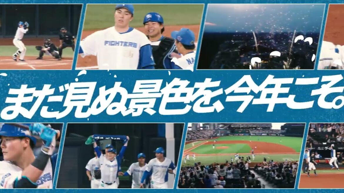 【2025シーズン開幕！】まだ見ぬ景色を、今年こそ。