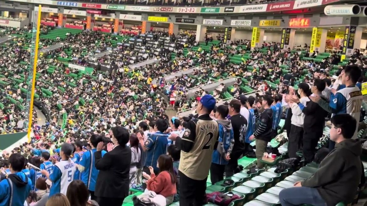 【元素記号の覚え方】松本剛 応援歌 - 2025.03.14