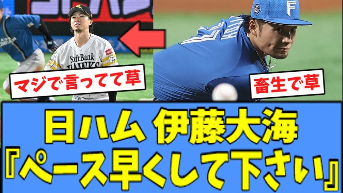 【草】日ハム 伊藤大海、上沢への発言が"畜生"過ぎると話題になるｗｗｗ