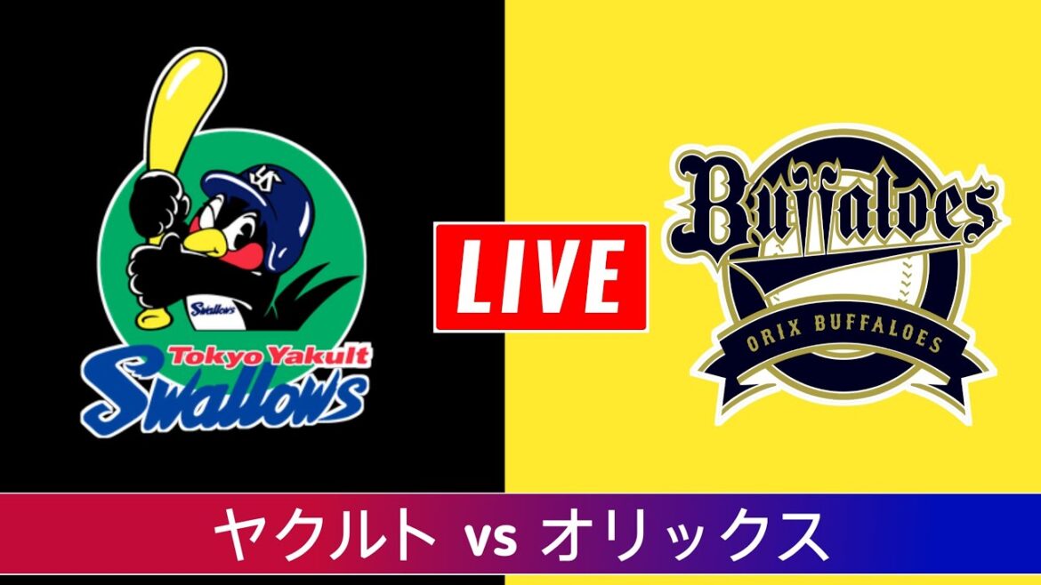 ヤクルトスワローズ vs オリックス・バファローズ 野球ライブスコア | 日本プロ野球 | NPB ライブスコア | Yakult vs Orix  NPB Live Score