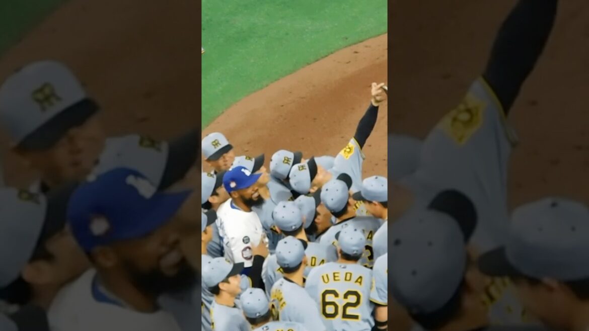 【相手の4番を囲え】テオスカーヘルナンデスを囲って記念撮影する阪神ナイン