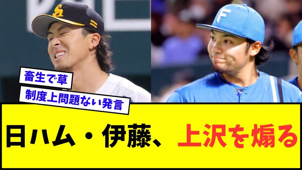 【悲報】日本ハム・伊藤大海、上沢直之を煽る・・・【なんJ反応】【プロ野球反応集】 【悲報】日本ハム・伊藤大海、上沢直之を煽る・・・【なんJ反応】【プロ野球反応集】