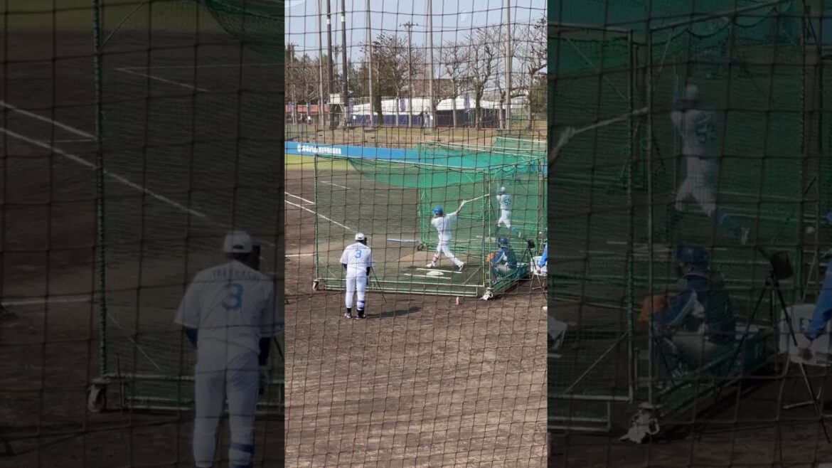 ランチ特打中の大島洋平選手と高橋周平選手 #中日ドラゴンズ #沖縄キャンプ #春季キャンプ2025 #読谷 #大島洋平 #高橋周平