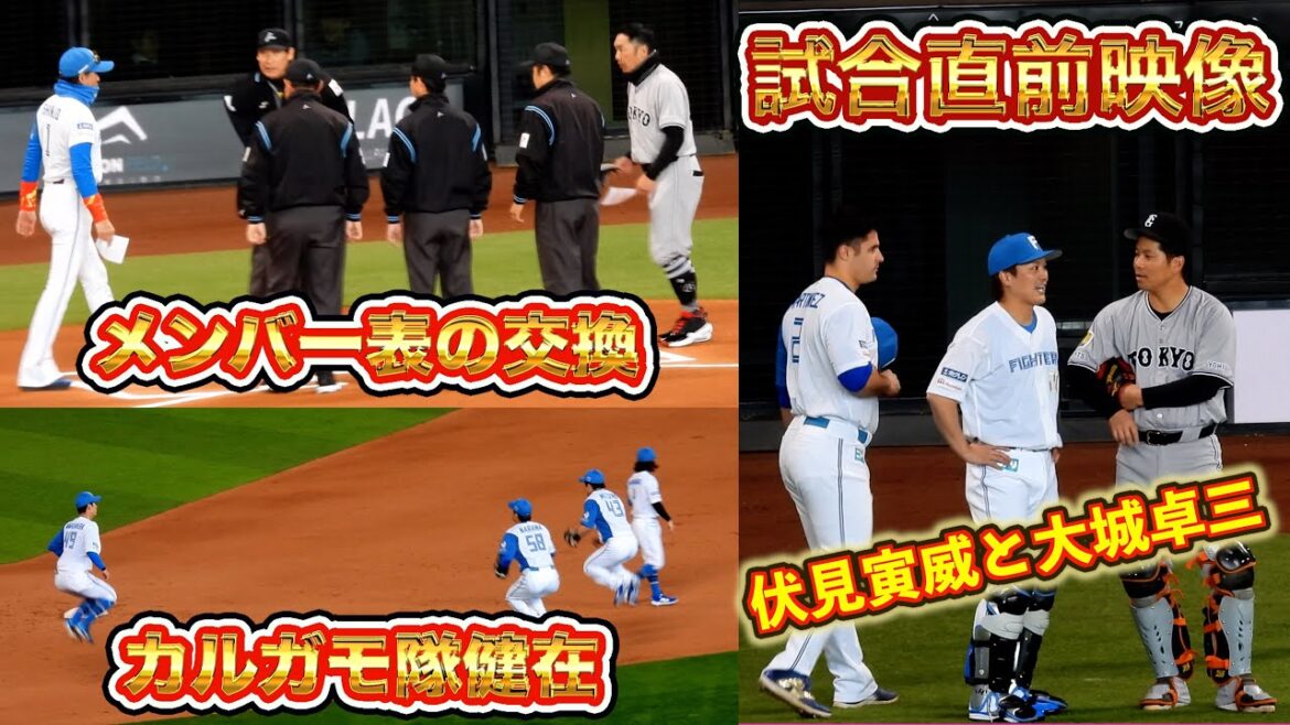 【20250318】伏見寅威と大城卓三の交流やカルガモ隊など(試合開始までの雰囲気) 【20250318】伏見寅威と大城卓三の交流やカルガモ隊など(試合開始までの雰囲気)