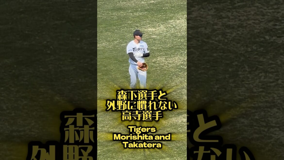 今季4番の森下と売り出し中の若手・高寺。試合前ノックでライトに 3/9 #阪神 #阪神タイガース #甲子園 #プロ野球 #高寺望夢 #森下翔太 #侍ジャパン #外野手 #上田西 #阪神ファン