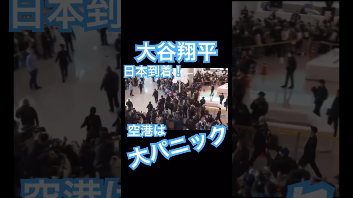 【㊗️30万再生】大谷翔平らドジャースナインついに日本に到着、空港は大パニック！ #大谷翔平 #ドジャース #shohei #大谷 #デコピン #真美子夫人 #佐々木朗希 #山本由伸 #mlb