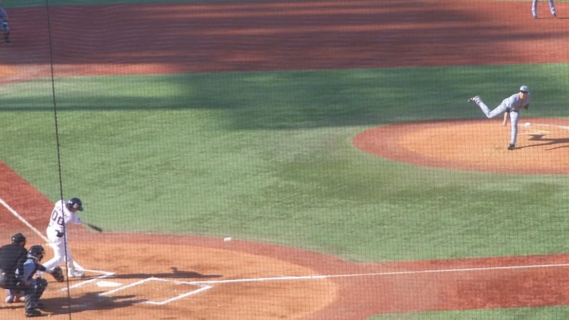 ヤクルト 赤羽由紘 タイムリーヒット　オープン戦 ヤクルト vs 阪神　2025年3月18日(火)　神宮球場