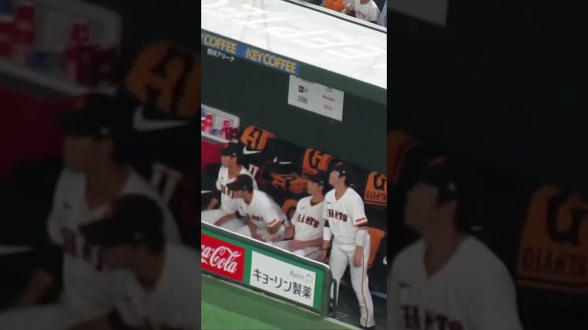 ピンチの赤星優志をみるベンチの小林誠司や重信慎之介2024年5月1日 読売ジャイアンツ 対 ヤクルトスワローズ