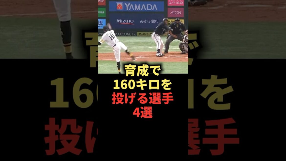 育成で160キロを投げる選手4選 #野球 #野球解説