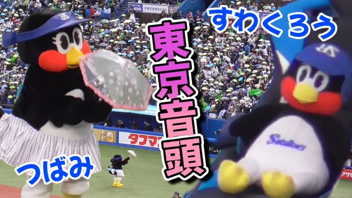 つばみ一羽で頑張る『東京音頭』、見守るすわくろう（東京ヤクルトスワローズ 2025/3/15）