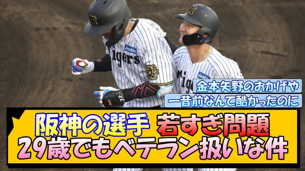 阪神の選手 若すぎ問題 29歳でもベテラン扱いな件【なんJ/2ch/5ch/ネット 反応 まとめ/阪神タイガース/藤川球児/プロ野球】