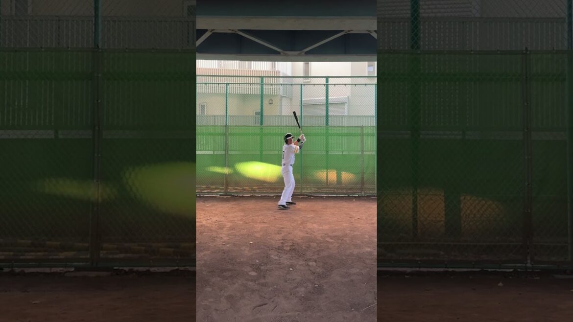 上茶谷選手がホークスでしそうな誇張モノマネ柳田悠岐選手編 上茶谷選手がホークスでしそうな誇張モノマネ柳田悠岐選手編