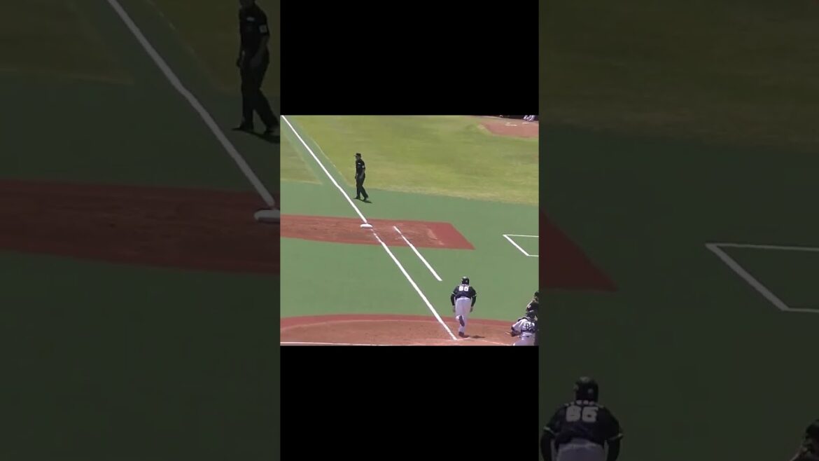 寺地隆成の強烈なファーストへのゴロ フェリペがよく止めた【ヤクルトスワローズ対 千葉ロッテマリーンズ イースタン2024年4月19日】