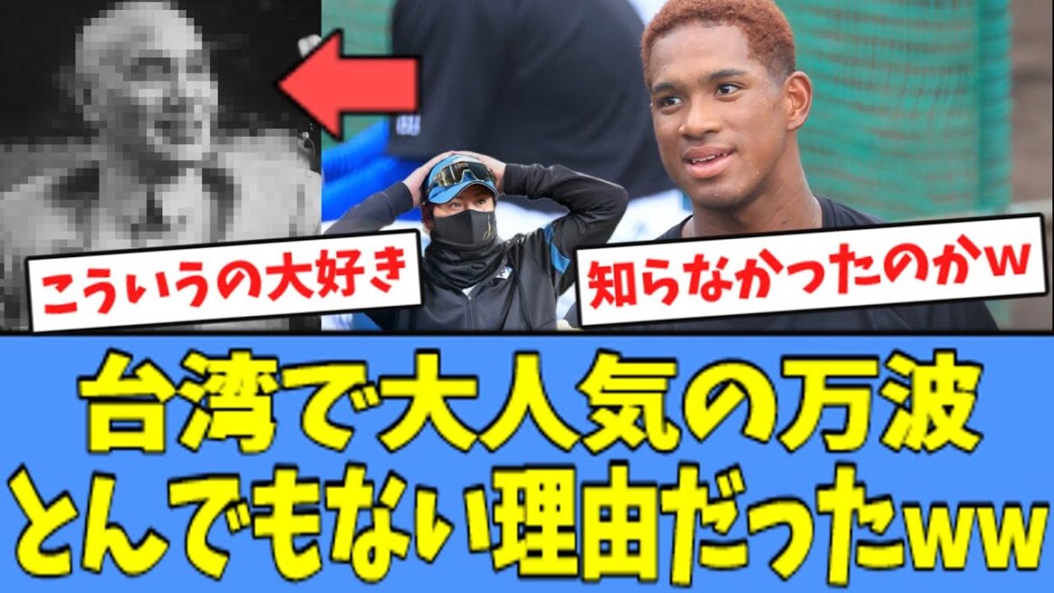 【本人もびっくりｗ】万波中正が"台湾で大人気"な理由、とんでもない理由だったと話題になるｗｗｗ