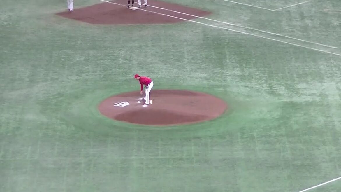 栗林良吏を応援するカープファン 長野久義ショート正面【読売ジャイアンツ対 広島カープ2024年6月29日】