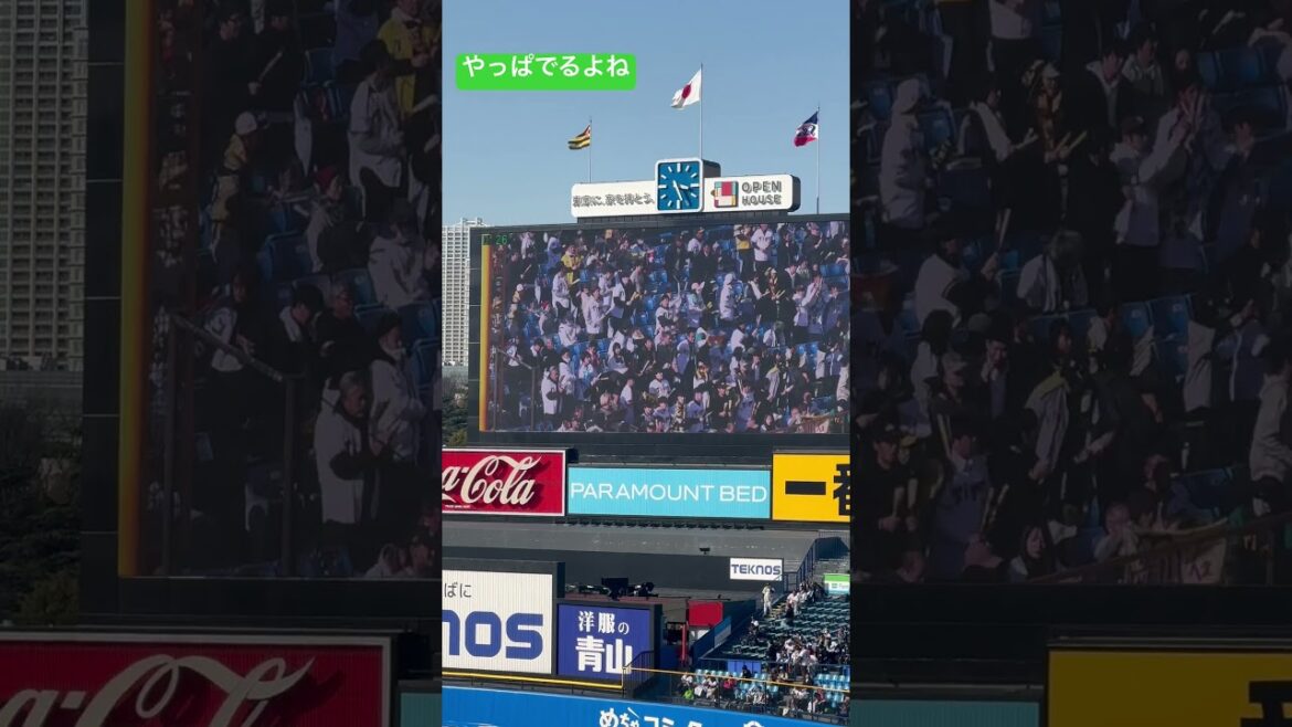 でた！マナーを守ってね！ヤクルトスワローズオープン戦