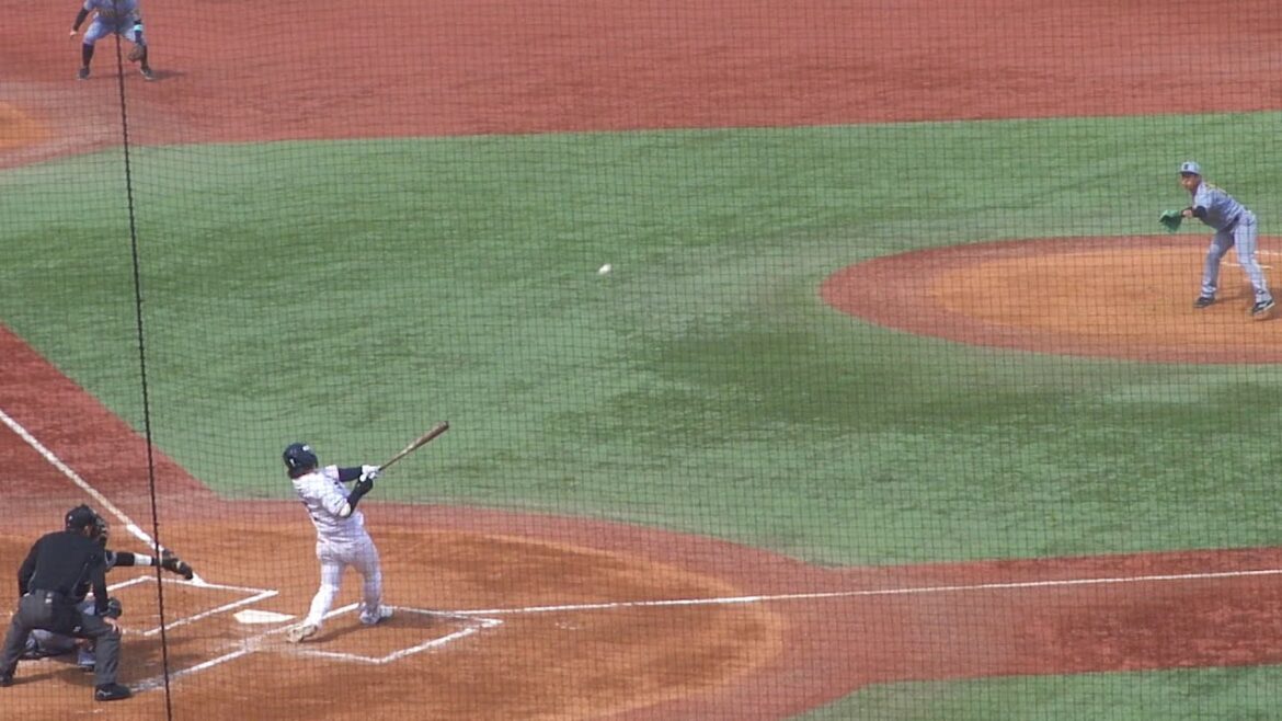 ヤクルト 長岡秀樹 先制のタイムリーヒット　オープン戦 ヤクルト vs 阪神　2025年3月18日(火)　神宮球場