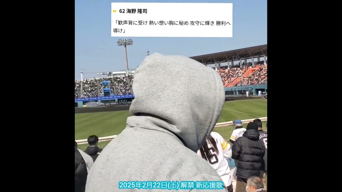 20250222　本日解禁！ﾎｰｸｽの新応援歌5曲　#shorts　@宮崎市生目の杜運動公園ｱｲﾋﾞｰｽﾀｼﾞｱﾑ･外野ﾚﾌﾄ ｵｰﾌﾟﾝ戦