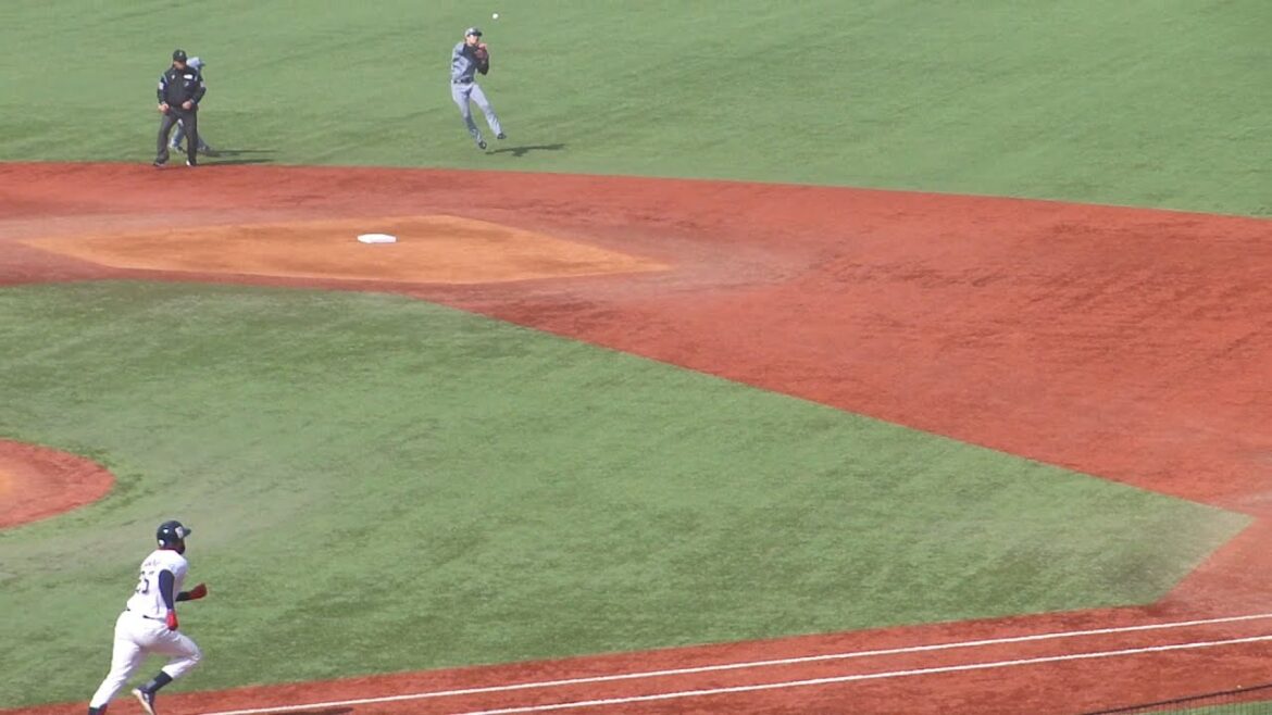 阪神 中野拓夢 ナイスプレー　オープン戦 ヤクルト vs 阪神　2025年3月18日(火)　神宮球場