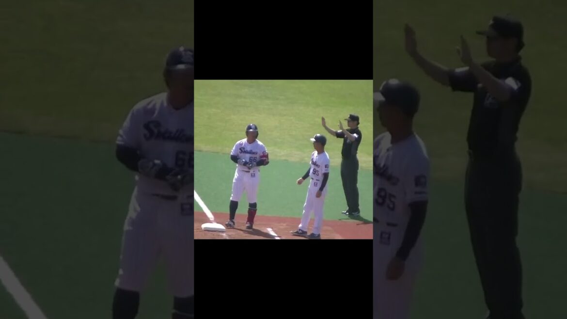 三ツ俣大樹の高く上がったフライ 風に流されて井上晴哉 捕れず【ヤクルトスワローズ対 千葉ロッテマリーンズ イースタン2024年4月19日】