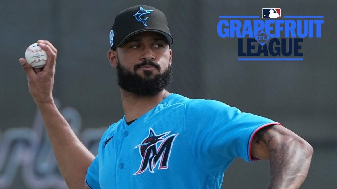 Sandy Alcantara's First Inning Back from Tommy John Surgery