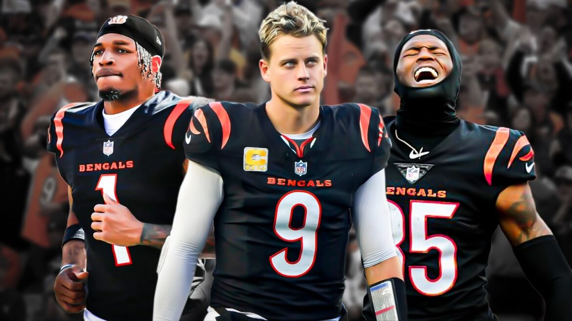 The Cincinnati Bengals Made Their Decision The Cincinnati Bengals Made Their Decision