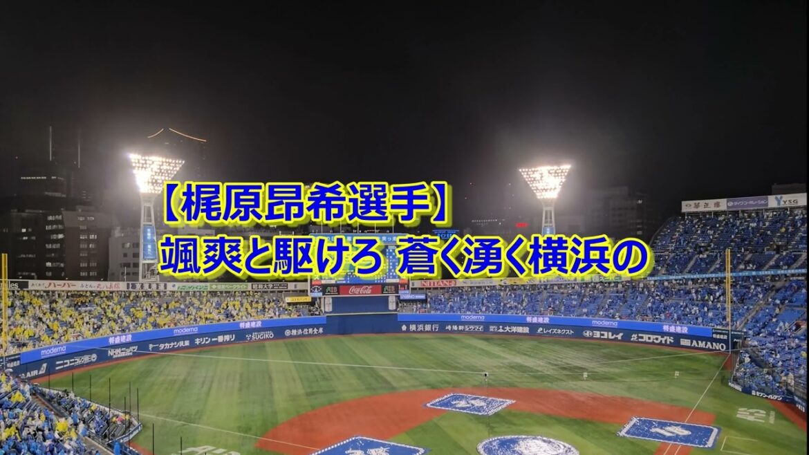 【2025シーズン開幕版】横浜DeNAベイスターズ 応援歌 & チャンステーマメドレー 【2025シーズン開幕版】横浜DeNAベイスターズ 応援歌 & チャンステーマメドレー