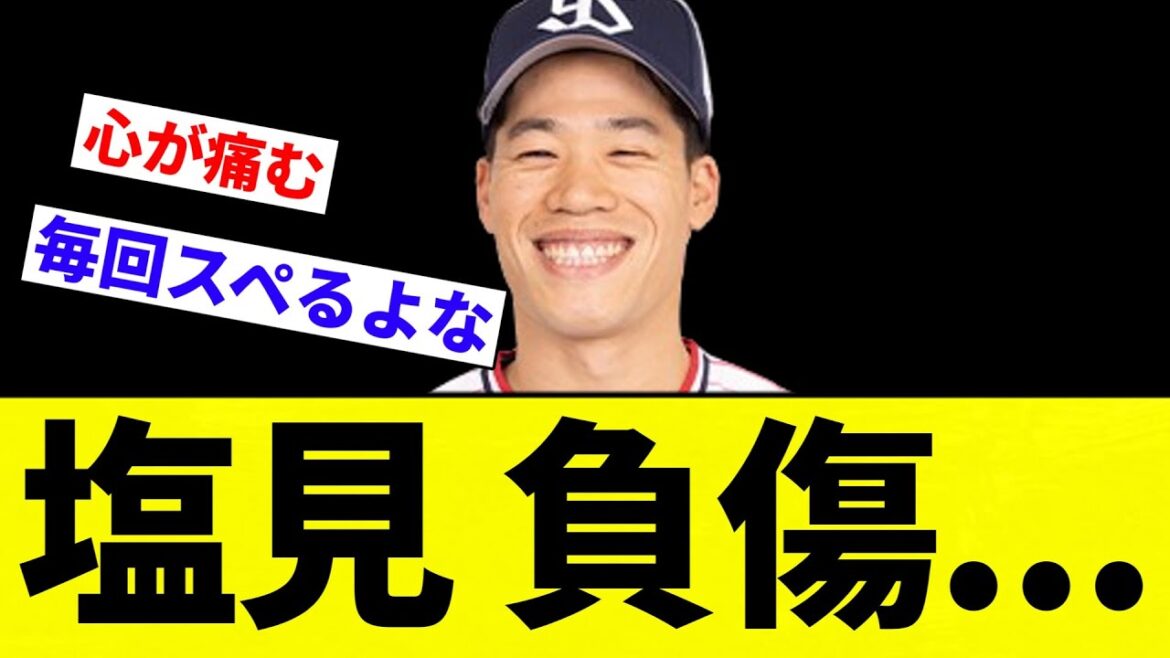 【またかよ...】塩見 負傷...【プロ野球反応集】【2chスレ】【なんG】