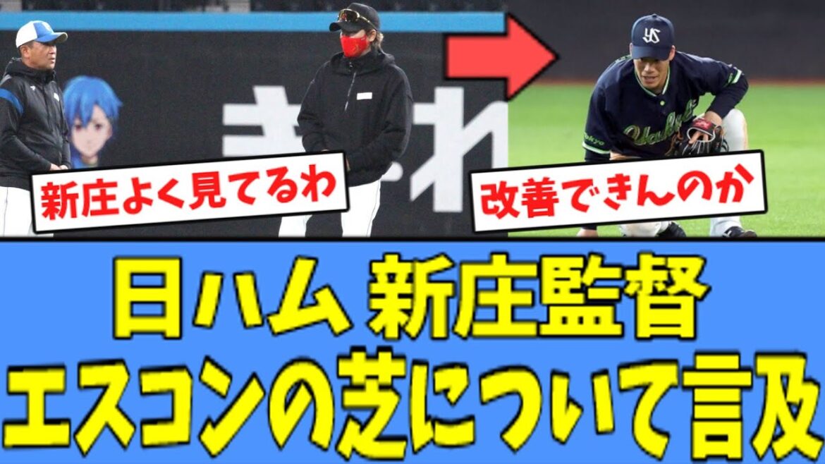 【心配】新庄監督、エスコンの"芝"について言及する・・・
