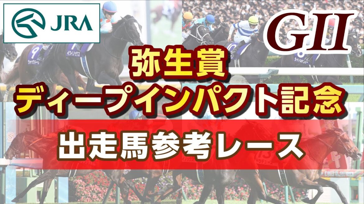 【参考レース】2025年 弥生賞ディープインパクト記念|JRA公式 【参考レース】2025年 弥生賞ディープインパクト記念|JRA公式