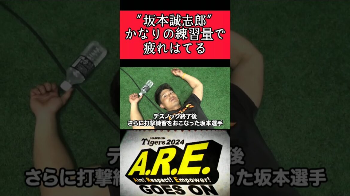【阪神】"坂本誠志郎"練習で疲れ果てる！ #阪神 #阪神タイガース #坂本誠志郎 #shorts