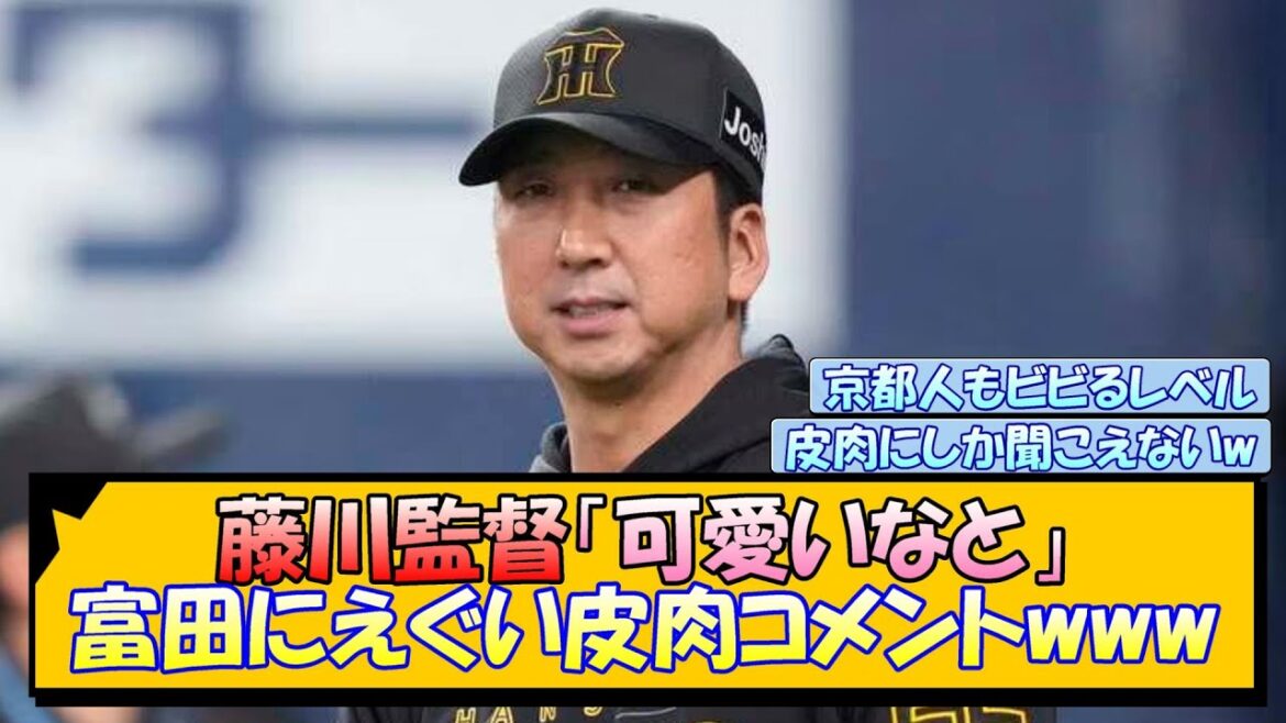 【阪神】藤川監督「可愛いなと」富田にえぐい皮肉コメントwww【なんJ/2ch/5ch/ネット 反応 まとめ/阪神タイガース/藤川球児/プロ野球】