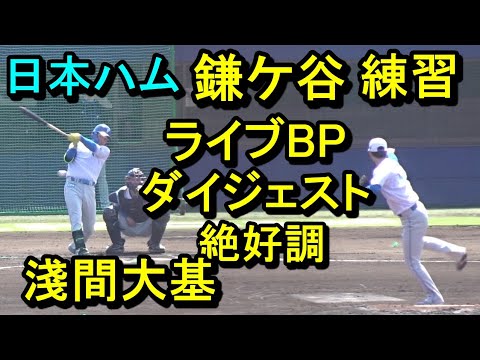 日本ハム鎌ケ谷 残留組練習、ライブBPダイジェスト絶好調!淺間大基2025.3.22 日本ハム鎌ケ谷 残留組練習、ライブBPダイジェスト絶好調!淺間大基2025.3.22