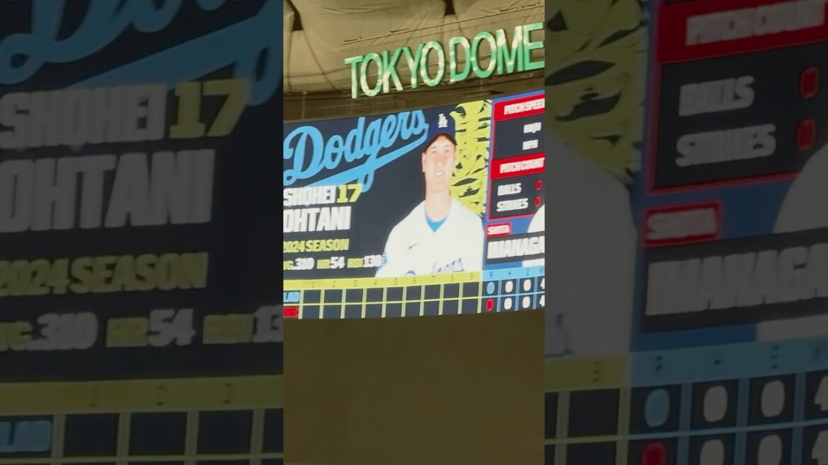 【2025 MLB開幕】1番大谷コールで大歓声の東京ドーム 【2025 MLB開幕】1番大谷コールで大歓声の東京ドーム