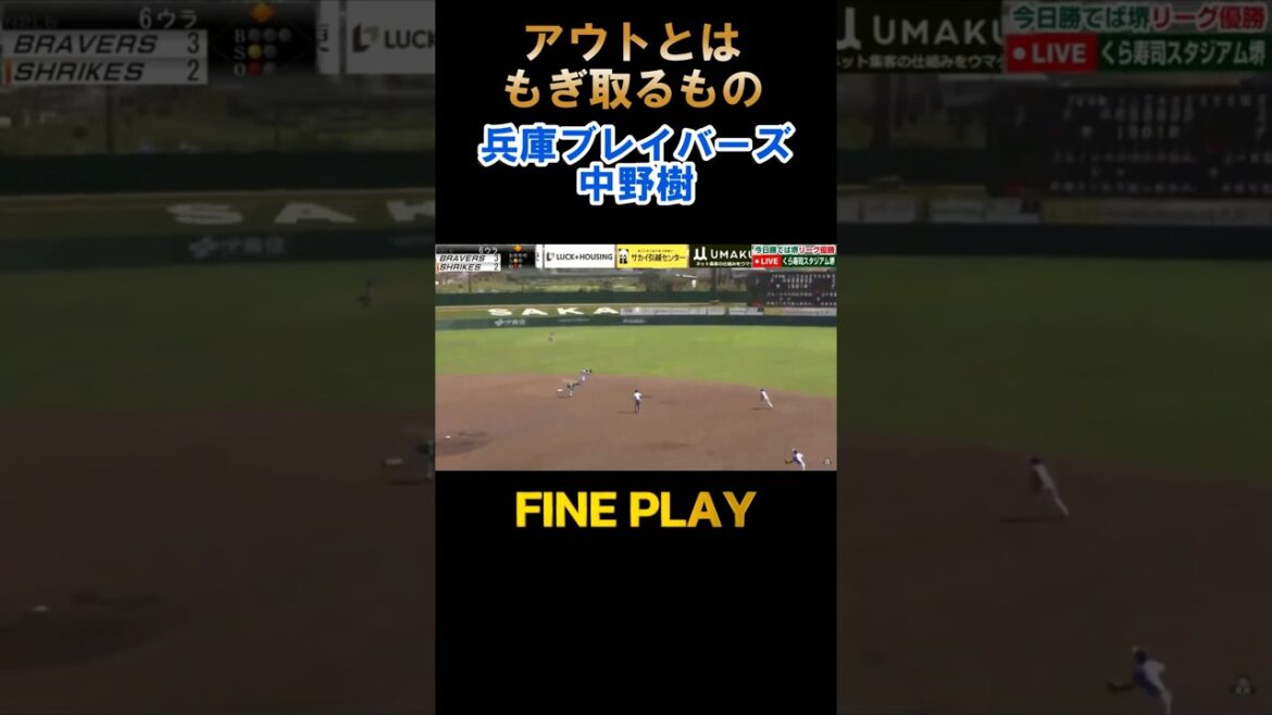 【好プレー2024】兵庫ブレイバーズ・中野樹【ライナーをもぎ取る】#shorts #baseball 【好プレー2024】兵庫ブレイバーズ・中野樹【ライナーをもぎ取る】#shorts #baseball