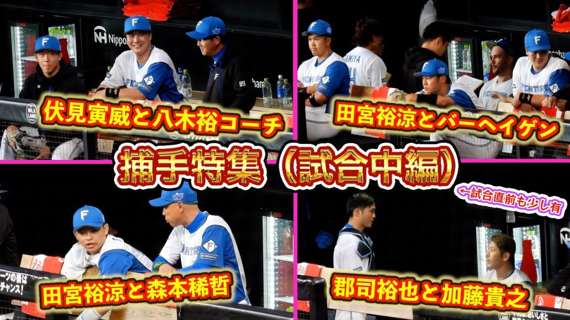 【20250321/0322】試合中の捕手村(伏見寅威、田宮裕涼、郡司裕也、吉田賢吾) 【20250321/0322】試合中の捕手村(伏見寅威、田宮裕涼、郡司裕也、吉田賢吾)