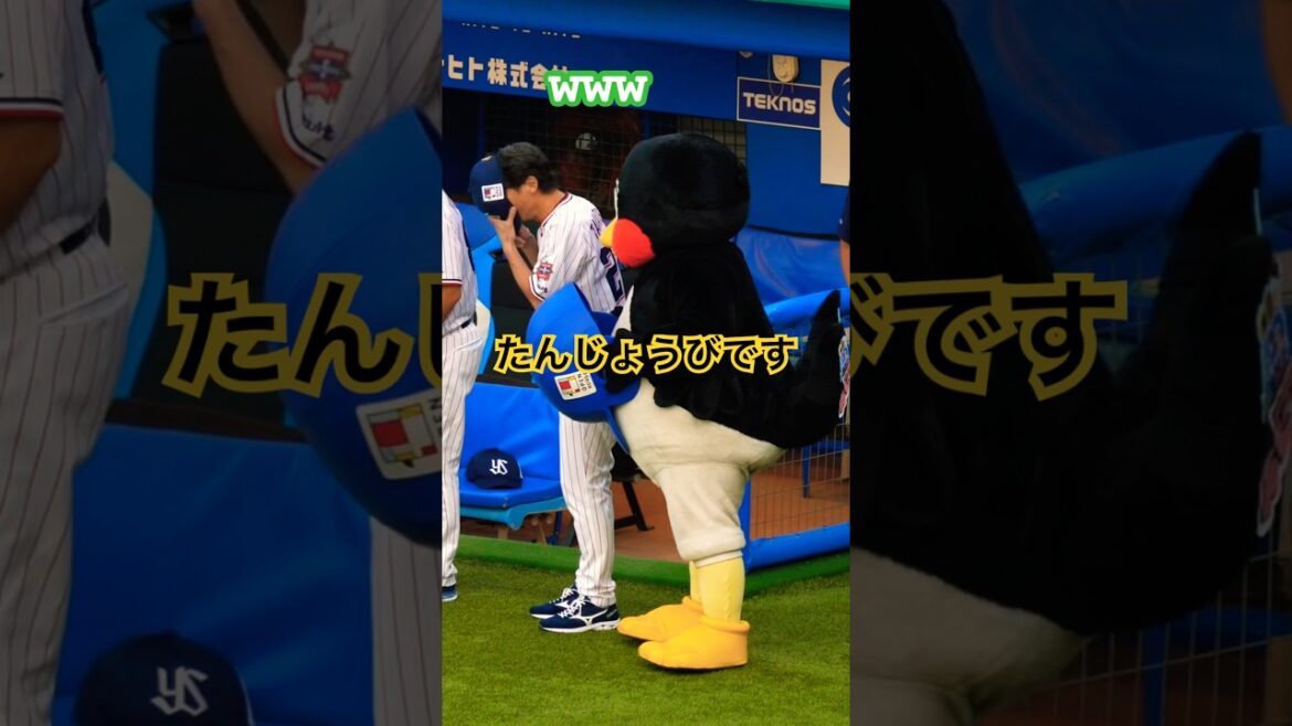 つば九郎　高津監督から『なぜマッチ？』と聞かれ大爆笑！ #swallows #野球 #つば九郎 #高津臣吾 #近藤真彦 #ギンギラギンにさりげなく