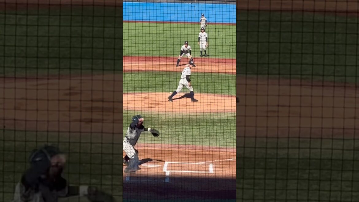 神宮大会充実のベスト4 敦賀気比小林捕手2塁送球#baseball#明治神宮野球大会#shorts#敦賀気比