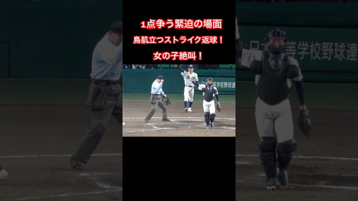 女の子絶叫！　1点を争う緊迫の場面　鳥肌立つストライク返球！　健大高崎vs明徳義塾　#高校野球 #甲子園 #センバツ #野球 #絶叫