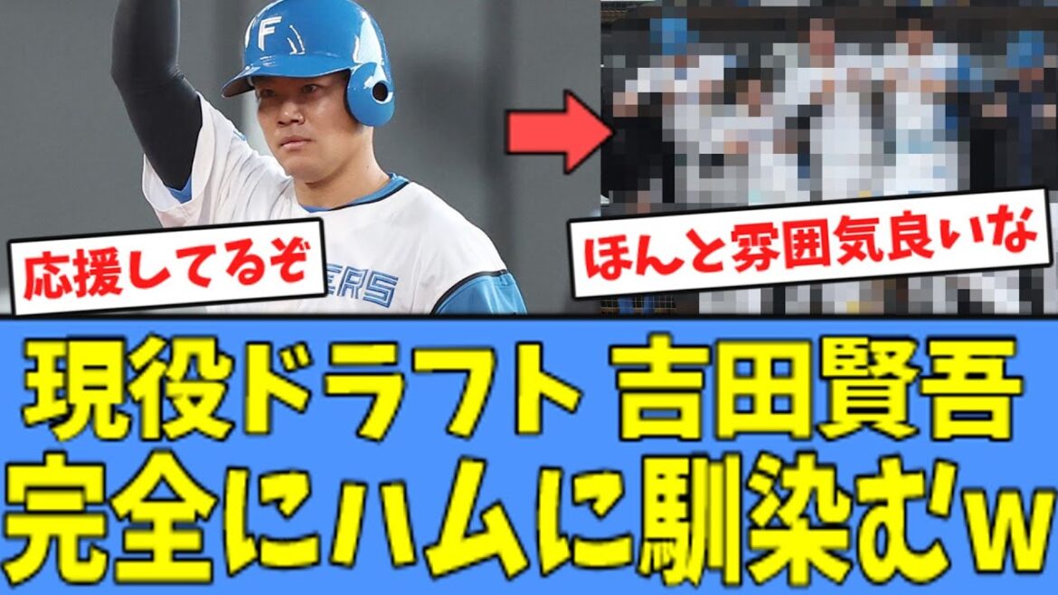 【頑張れ】現役ドラフト 吉田賢吾、完全にハムに馴染んでしまうｗｗｗ