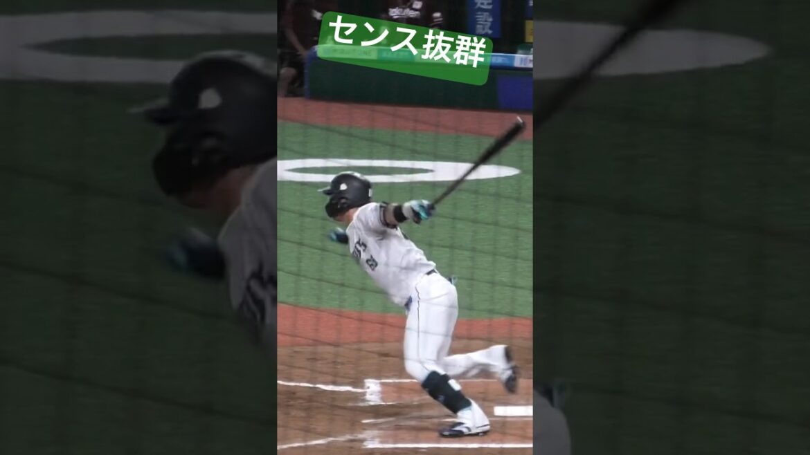 【2024シーズン】蘇った天才 #seibulions #岸潤一郎 #埼玉西武ライオンズ #蘇った天才 #消えた天才 #野球センス #プロ野球 #npb