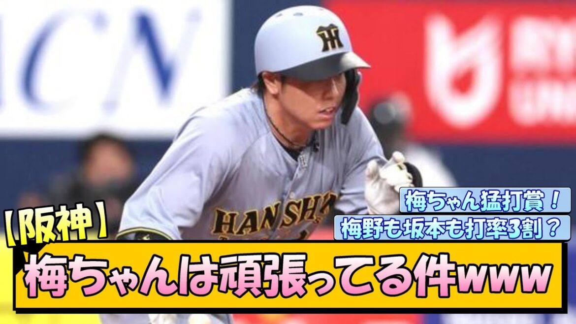 【阪神】梅ちゃんは頑張ってる件www【なんJ/2ch/5ch/ネット 反応 まとめ/阪神タイガース/藤川球児/プロ野球】